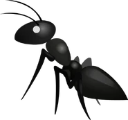 Ant