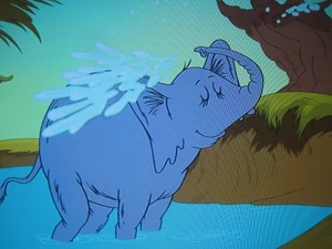 An elephant spraying water over itself