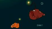 Two anglerfish