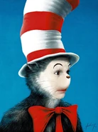 Catprofile.jpg (598 KB)