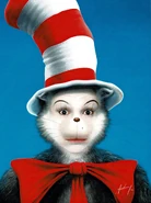 Catfrontview.jpg (615 KB)