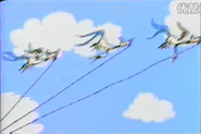 Birds in the sky for the promo