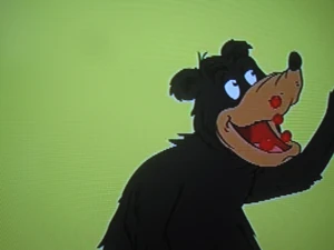 A black bear eating berries