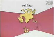 A camel on the ceiling????