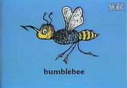 A bumblebee