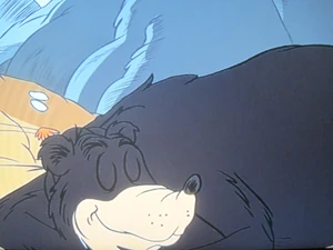 A black bear sleeping