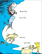 Black/blue/old/new fish