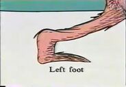 ...left foot