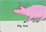 Pig feet image