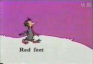 Red feet image