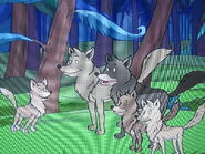 Two gray wolves with three pups