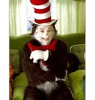 The cat in the hat-293x307.jpg (25 KB)