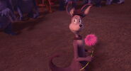 Horton-who-disneyscreencaps com-8911