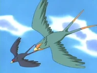 Ash's Swellow VS Winnona's Swellow
