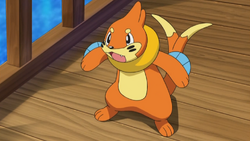 Ash's Buizel