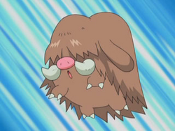 Dawn's Piloswine