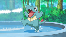 Ash Totodile