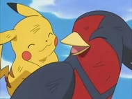 Swellow and Pikachu win the Tag Battle