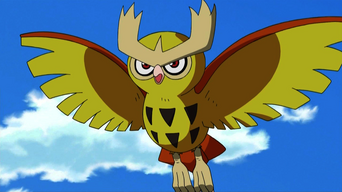 Ash's Noctowl