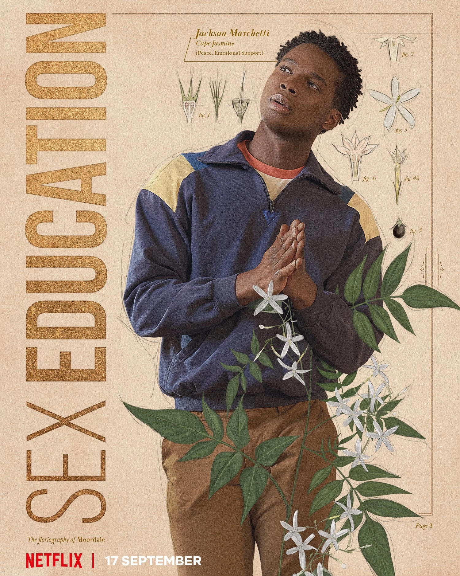 Sex Education Jackson – Telegraph