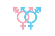 T4t.jpg (43 KB) T4T flag with gender symbols intertwined