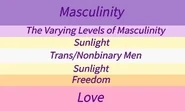 Alternate Gay Man Flag with Color Meanings by Tumblr user cryophilia[76]