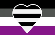 Asexual Heteroromantic (2)