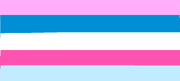 Dasflynsexual flag