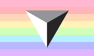 Spectrasexual Expanded 11-Color Flag