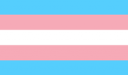 Transgender flag