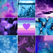 Edited TLT/T4T flag in a moodboard, made by Tumblr user polyamaesthetic