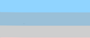 Cyrosexual Flag