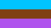 Androsexual flag