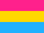 Pansexuality