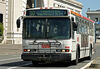 Muni bus.jpg