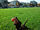 Duboce Park