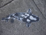 Street Art/Stencils