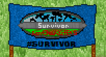 SFC10 flag hashtagsurvivor