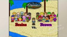 Survivor Fan Characters 2 Brains vs