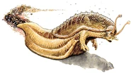Księga Plugawego Mroku (2005; 3e)