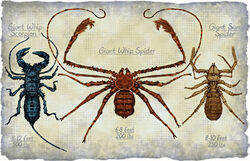 Arachnids