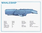 Whaleship