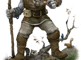Firbolg