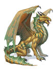 Dragon bronze