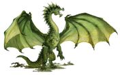 Green Dragon 5e