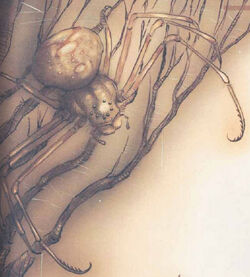 Hook Spider