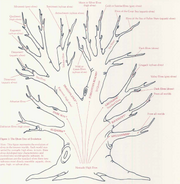 Elven-tree-of-evolution