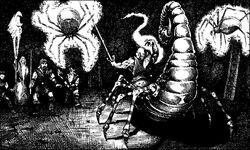Muiral & Wraith Spiders