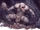 Grimlok