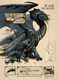 3e Draconomicon: The Book of Dragons (2003)